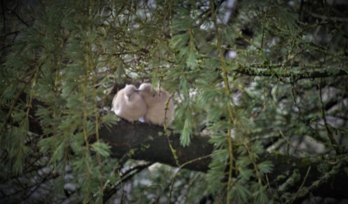 Inédit, il est né dit. Il est bien&nbsp;écrit