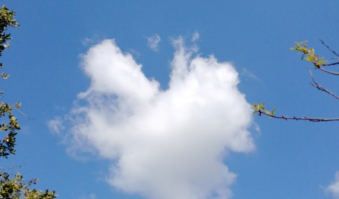 Idées cadeaux : offrez des livres&nbsp;!